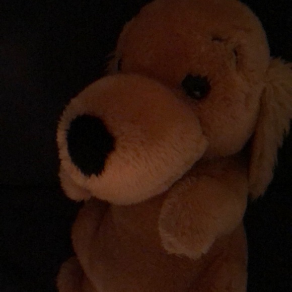 Meet your Posher, Kim - Picture 1 of 1